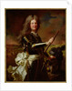 Portrait of Charles-Auguste de Matignon, Comte de Gace, Marechal de France 1691 by Hyacinthe Francois Rigaud