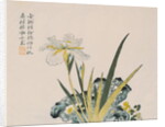 The Garden as Big as a Grain of Mustard, 17th-18th century by School Chinese