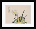 The Garden as Big as a Grain of Mustard, 17th-18th century by School Chinese