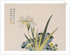 The Garden as Big as a Grain of Mustard, 17th-18th century by School Chinese