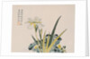 The Garden as Big as a Grain of Mustard, 17th-18th century by School Chinese