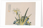 The Garden as Big as a Grain of Mustard, 17th-18th century by School Chinese