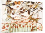 Fishing and fowling in the marshes, detail of the birds by Egyptian 18th Dynasty