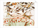 Fishing and fowling in the marshes, detail of the birds by Egyptian 18th Dynasty
