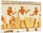 Measuring the land using rope by Egyptian 18th Dynasty