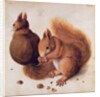 Squirrels, 1512 by Albrecht Dürer or Duerer