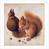 Squirrels, 1512 by Albrecht Dürer or Duerer