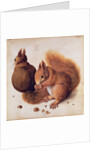 Squirrels, 1512 by Albrecht Dürer or Duerer