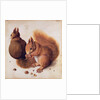 Squirrels, 1512 by Albrecht Dürer or Duerer