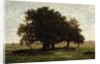 Holm Oaks, Apremont, 1850-52 by Pierre Etienne Theodore Rousseau