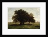 Holm Oaks, Apremont, 1850-52 by Pierre Etienne Theodore Rousseau