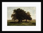 Holm Oaks, Apremont, 1850-52 by Pierre Etienne Theodore Rousseau