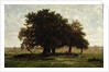Holm Oaks, Apremont, 1850-52 by Pierre Etienne Theodore Rousseau
