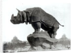 Rhinoceros, 1878 by Adolphe Giraudon