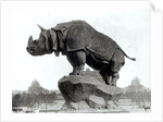 Rhinoceros, 1878 by Adolphe Giraudon
