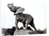 Young Elephant Caught in a Trap by Emmanuel Fremiet in front of the Trocadero Palace, constructed for the Universal Exposition, Paris, 1888 by Adolphe Giraudon