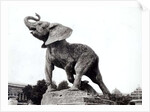 Young Elephant Caught in a Trap by Emmanuel Fremiet in front of the Trocadero Palace, constructed for the Universal Exposition, Paris, 1888 by Adolphe Giraudon
