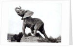 Young Elephant Caught in a Trap by Emmanuel Fremiet in front of the Trocadero Palace, constructed for the Universal Exposition, Paris, 1888 by Adolphe Giraudon