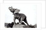 Young Elephant Caught in a Trap by Emmanuel Fremiet in front of the Trocadero Palace, constructed for the Universal Exposition, Paris, 1888 by Adolphe Giraudon