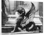 Chimaera from the St. Michel fountain, Paris, c.1860 by Adolphe Giraudon