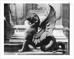 Chimaera from the St. Michel fountain, Paris, c.1860 by Adolphe Giraudon