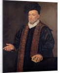 Portrait of a Doctor by Francesco Montemezzano