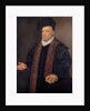 Portrait of a Doctor by Francesco Montemezzano