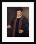 Portrait of a Doctor by Francesco Montemezzano