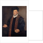 Portrait of a Doctor by Francesco Montemezzano