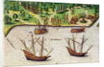 The Cape of Florida and the Dolphin River from 'Brevis Narratio' by Jacques (1533-88) (after) Le Moyne