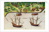 The Cape of Florida and the Dolphin River from 'Brevis Narratio' by Jacques (1533-88) (after) Le Moyne