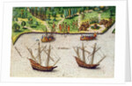 The Cape of Florida and the Dolphin River from 'Brevis Narratio' by Jacques (1533-88) (after) Le Moyne
