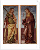 St. Catherine of Alexandria and St. Paraceve or Veneranda by Vittore Carpaccio