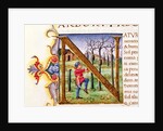 Historiated Initial 'N' depicting a man hewing trees, the 'Natural History' by Pliny the Elder by Italian School