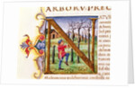 Historiated Initial 'N' depicting a man hewing trees, the 'Natural History' by Pliny the Elder by Italian School