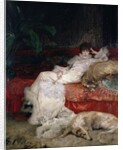 Sarah Bernhardt by Georges Clairin
