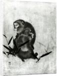 Monkeys by Sosen Mori