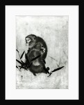 Monkeys by Sosen Mori