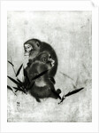 Monkeys by Sosen Mori