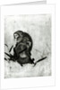 Monkeys by Sosen Mori