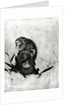 Monkeys by Sosen Mori
