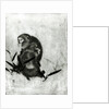 Monkeys by Sosen Mori