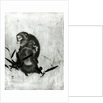 Monkeys by Sosen Mori