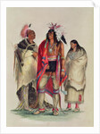 North American Indians, c.1832 by George Catlin
