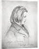 Portrait of Johannes Brahms aged Twenty, 1853 by Jean Joseph Bonaventure Laurens