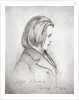 Portrait of Johannes Brahms aged Twenty, 1853 by Jean Joseph Bonaventure Laurens