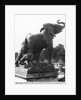 Young Elephant caught in a trap, in front of the first Trocadero Palace constructed for the Universal Exhibition in 1878, 1878 by Emmanuel Fremiet
