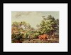 American Farm Scenes, 19th century by Nathaniel Currier
