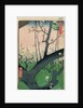 Branch of a Flowering Plum Tree by Ando or Utagawa Hiroshige