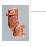 Carving of a young girl, known as the Venus of Sireuil, 35000-8000 BC by Paleolithic Paleolithic